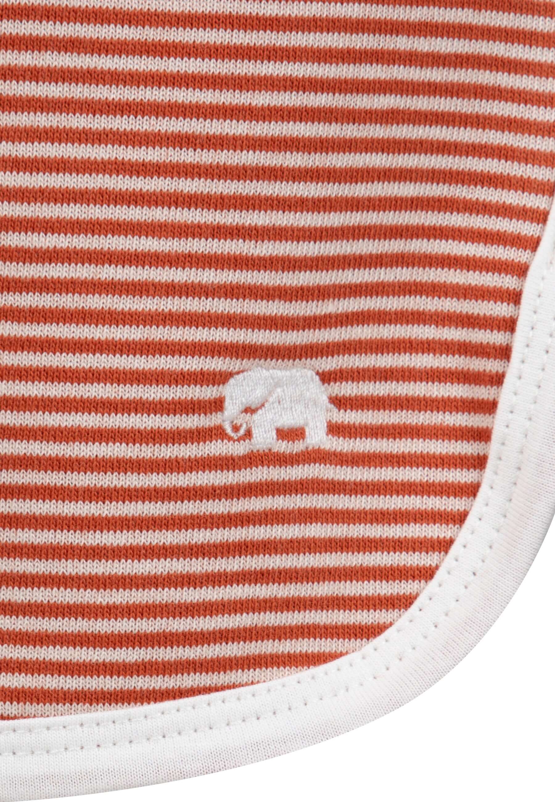 Terracotta-Lightgreen-Indigo