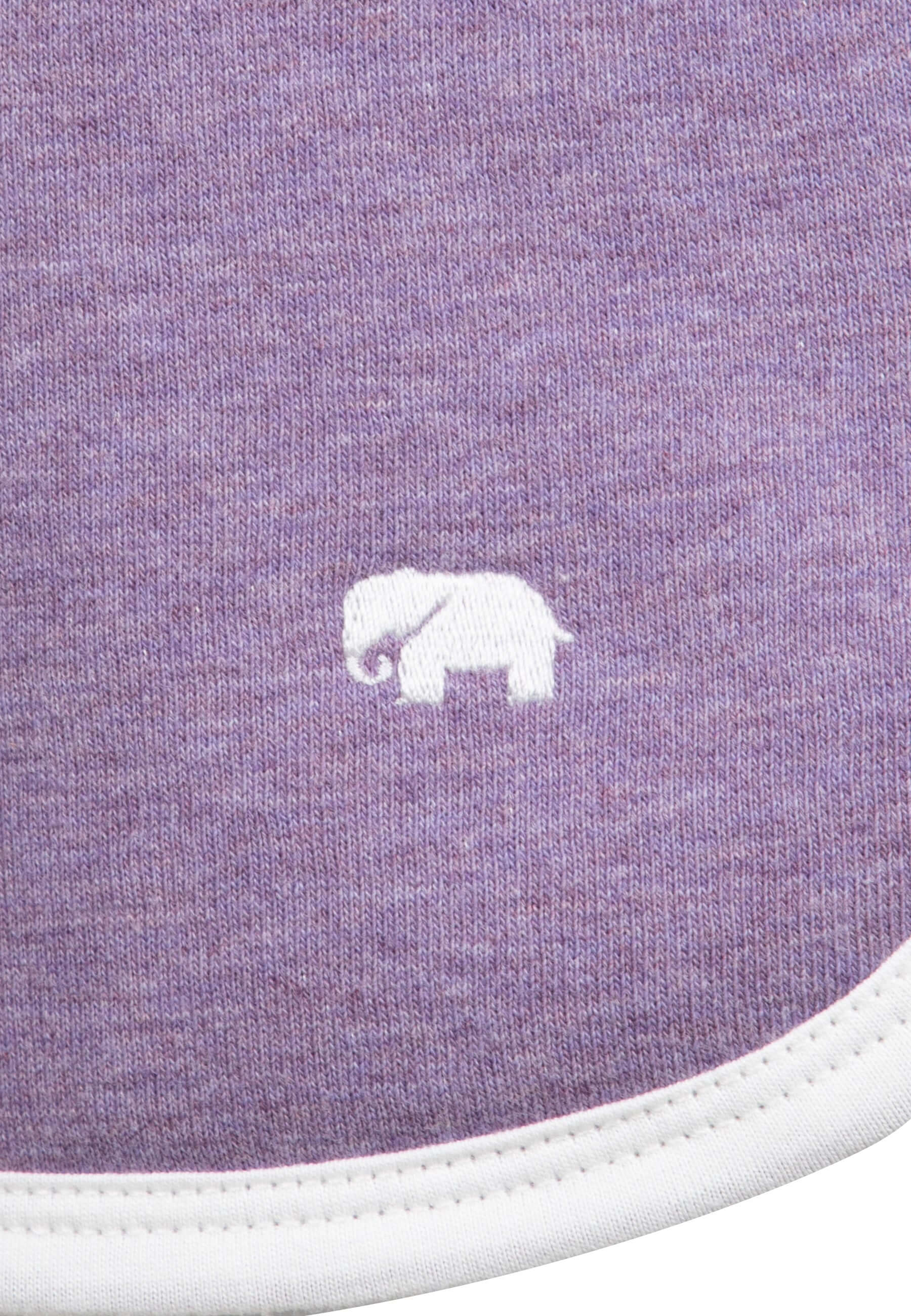 Fuschia-Lilac-Purple