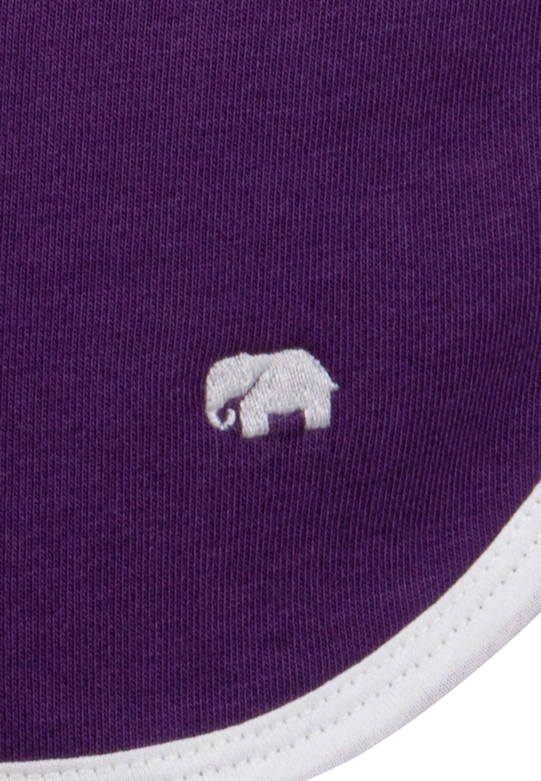 Fuschia-Lilac-Purple