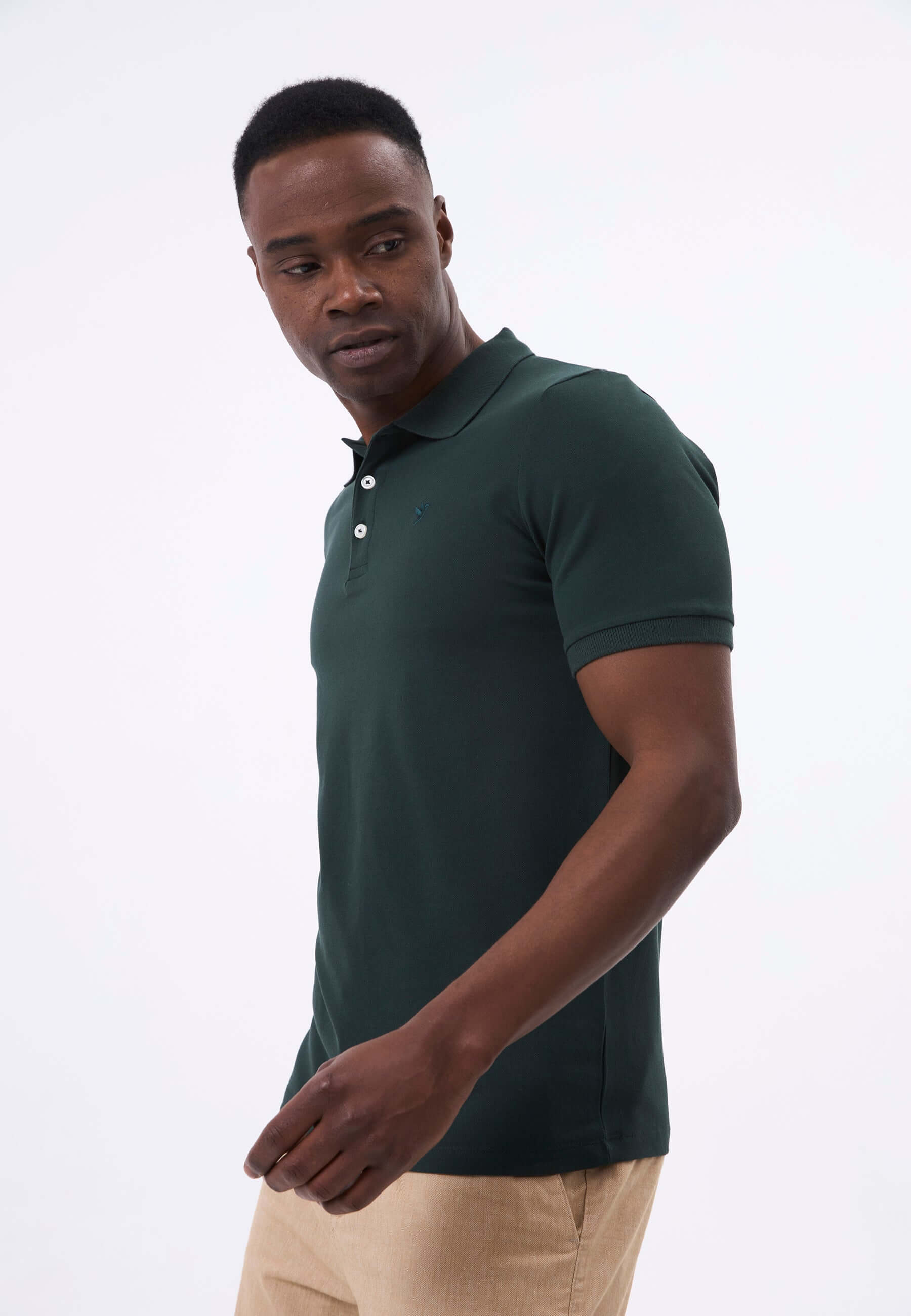 darkgreen