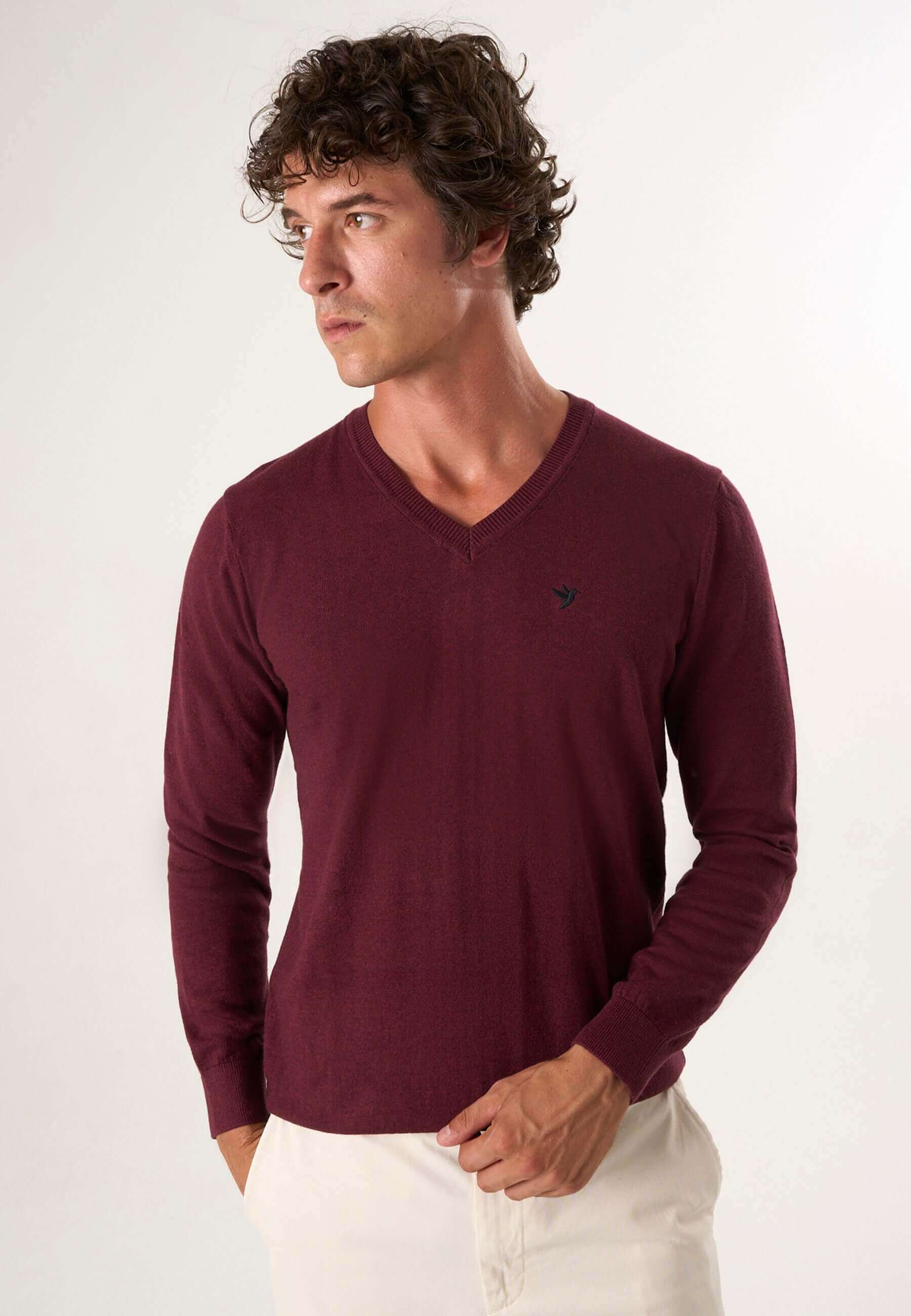V-Neck Long Sleeve Pullover