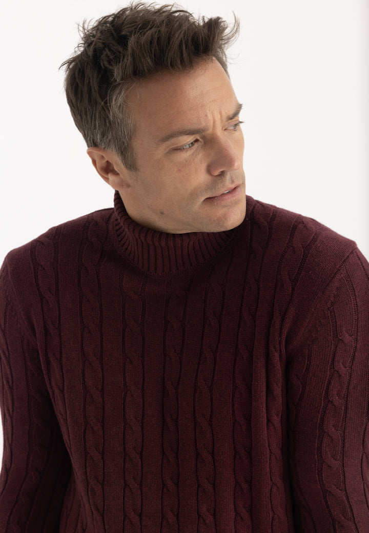 Men’s Cable Knit Turtleneck Pullover